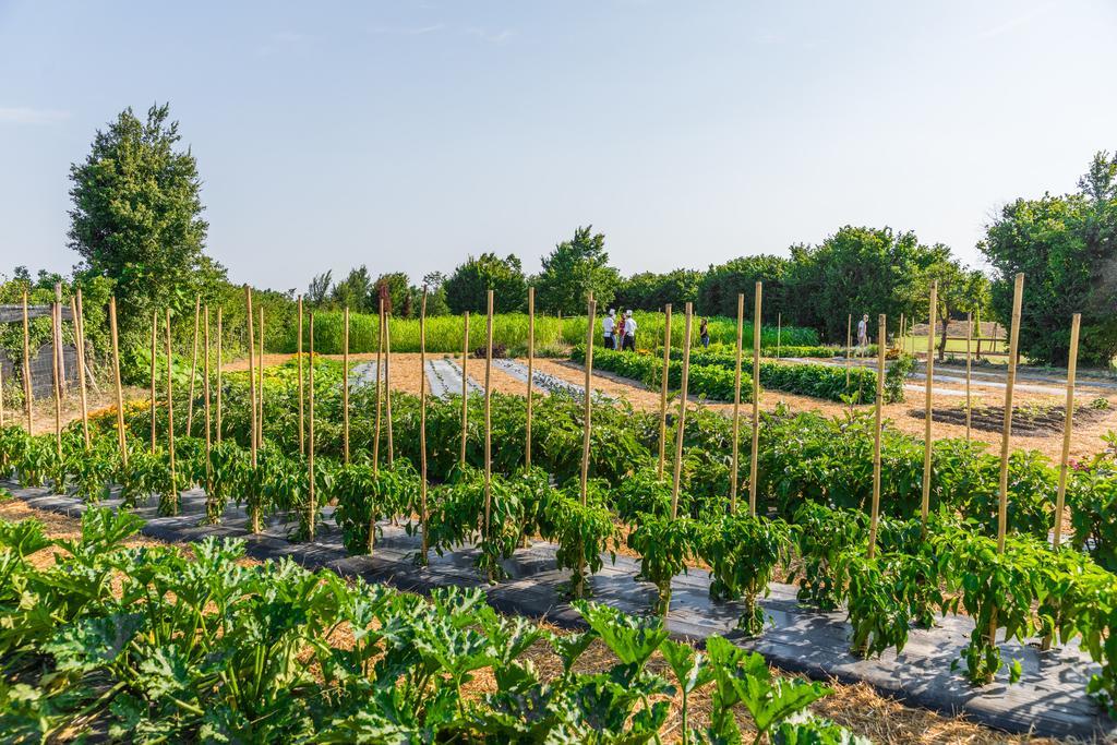 La Posa Degli Agri Bed & Breakfast Legnaro Bagian luar foto